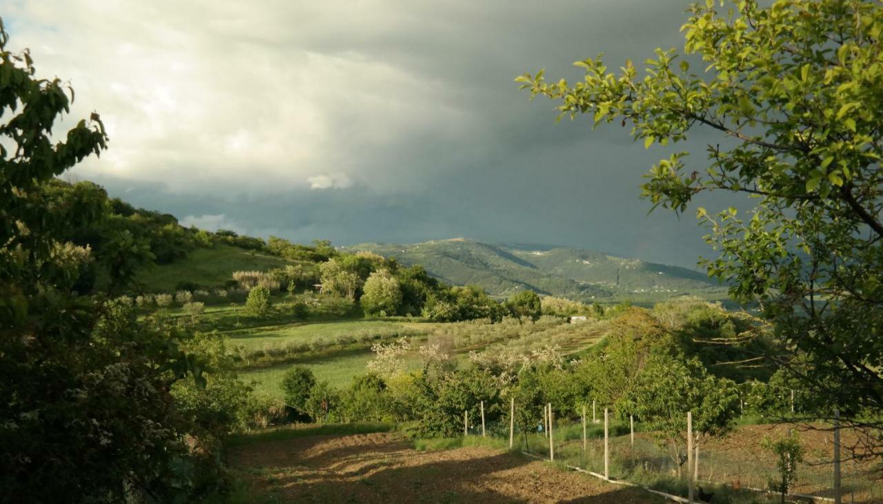 Villa Terra Mirna Vižinada Exterior foto